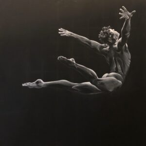 The flight